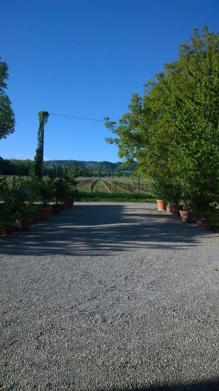 La Vigna Dei Peri Quattro Castella Exterior photo